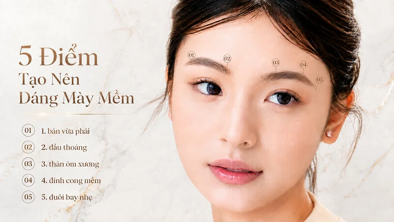 5 đặc điểm của dáng mày mềm và có độ nâng tự nhiên 5 đặc điểm của dáng mày mềm và có độ nâng tự nhiên