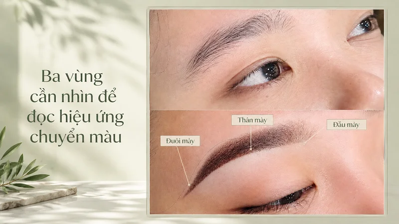 Ba vùng cần nhìn để đọc hiệu ứng chuyển màu Ba vùng cần nhìn để đọc hiệu ứng chuyển màu