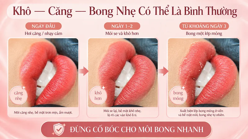 Vì sao môi khô, căng và bong nhẹ sau khi phun? Vì sao môi khô, căng và bong nhẹ sau khi phun?