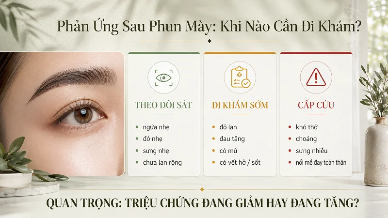 Những mức độ phản ứng của vùng mày sau khi phun xăm