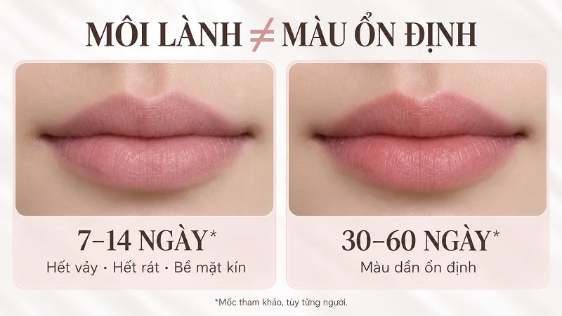 Khi nào môi mới lành hẳn?