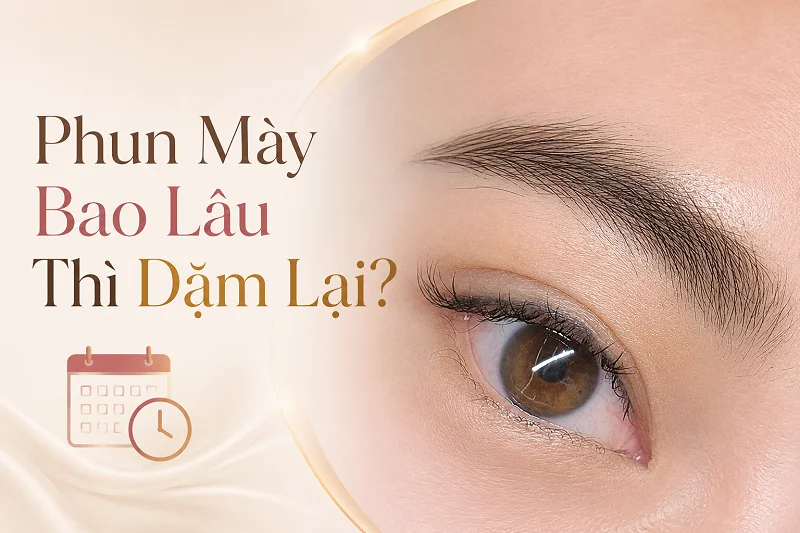 Phun Mày Bao Lâu Thì Dặm Lại Lần 2? Khi Nào Nên Chờ, Khi Nào Cần Kiểm Tra?