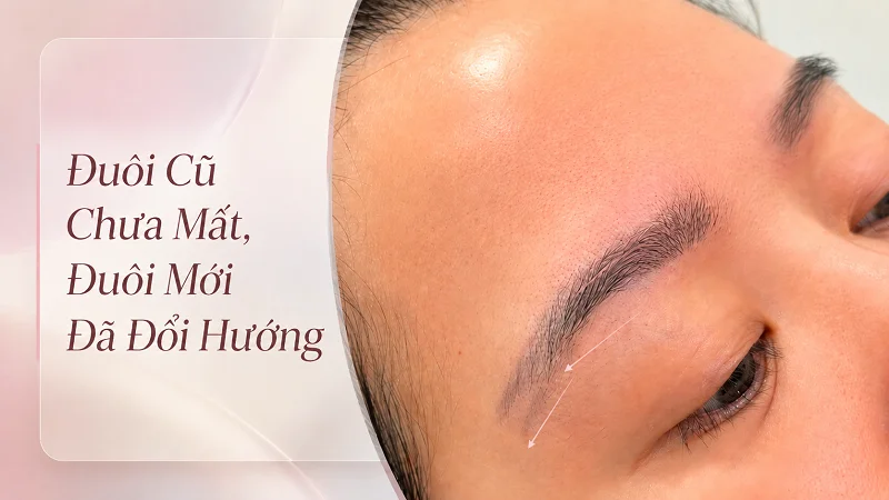 Vì sao lông mày lại thành hai đuôi?